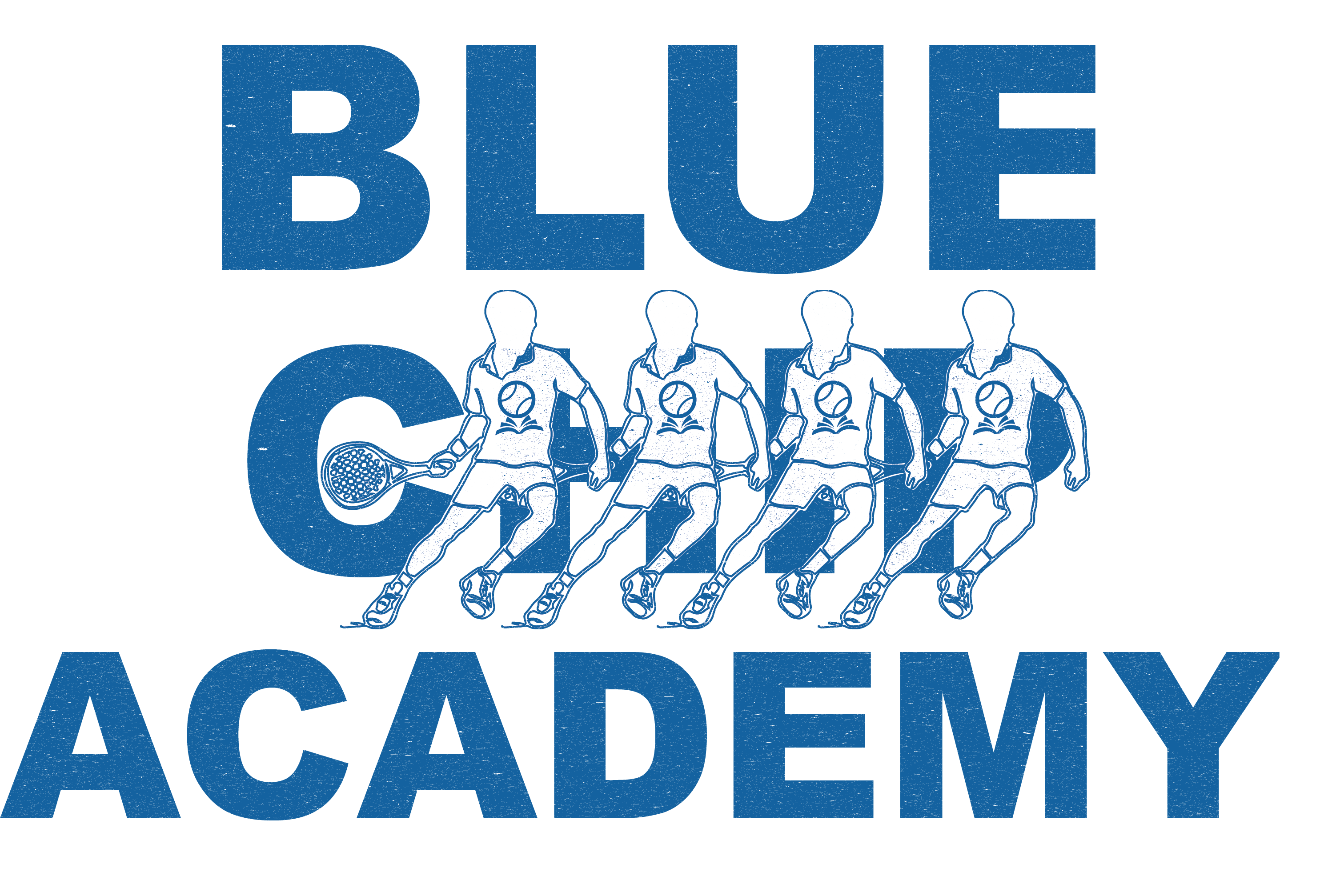 Blue Chip Academy